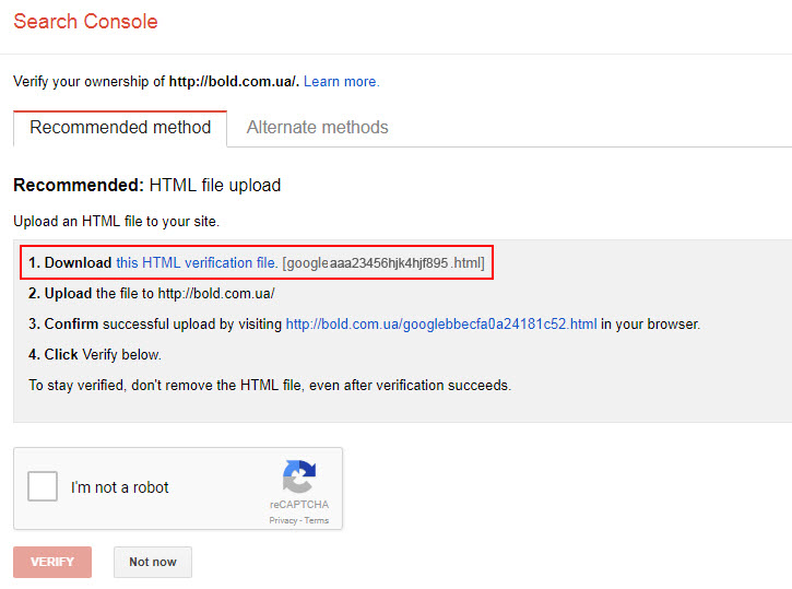 Webmaster tools verification code
