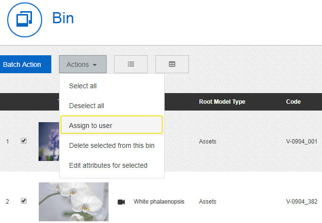 Assign a Clip bin to a specific user