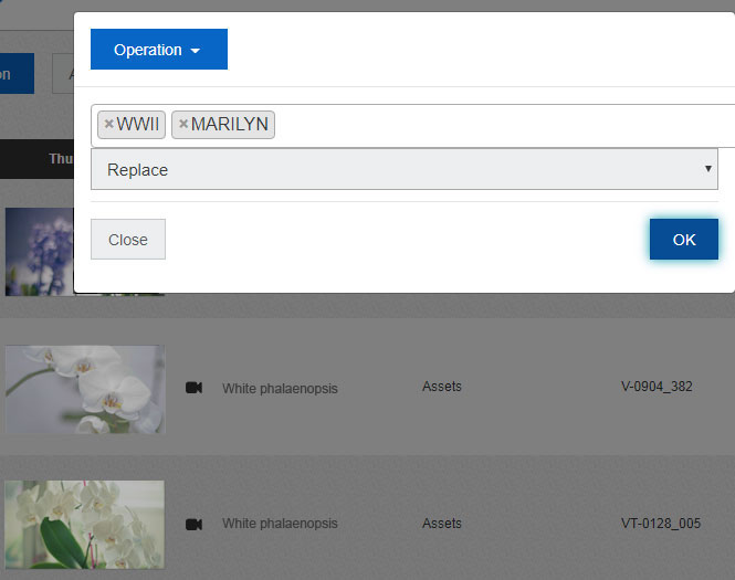 Assign several video assets into new categories