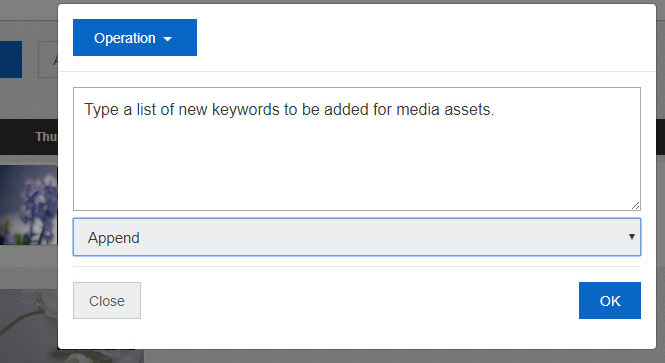 Add more keywords to all the media assets in the Clip bin
