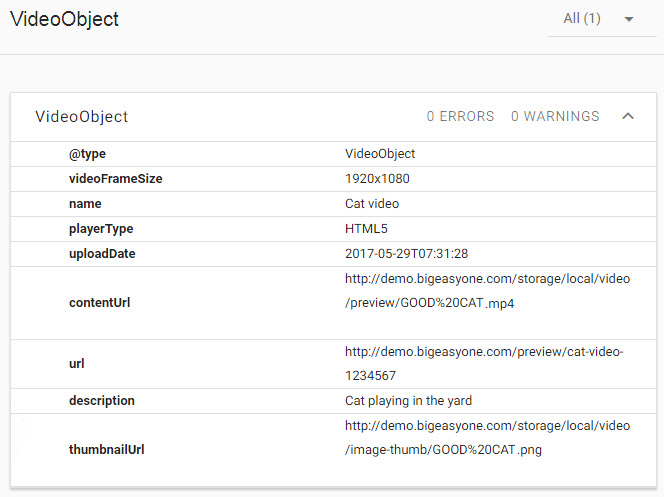 Structured Data video snippet